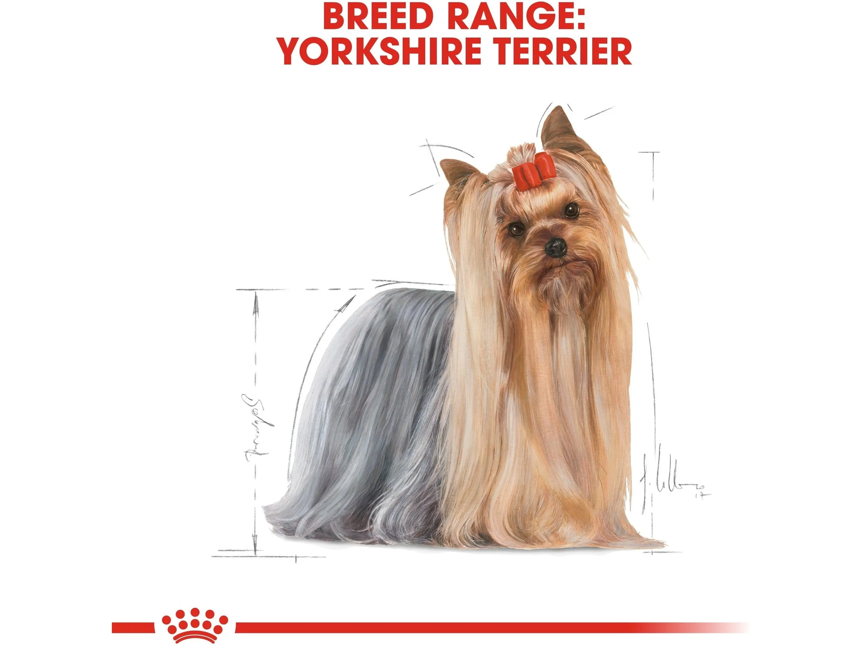 Breed Health Nutrition Yorkshire Adult 1.5 Kg