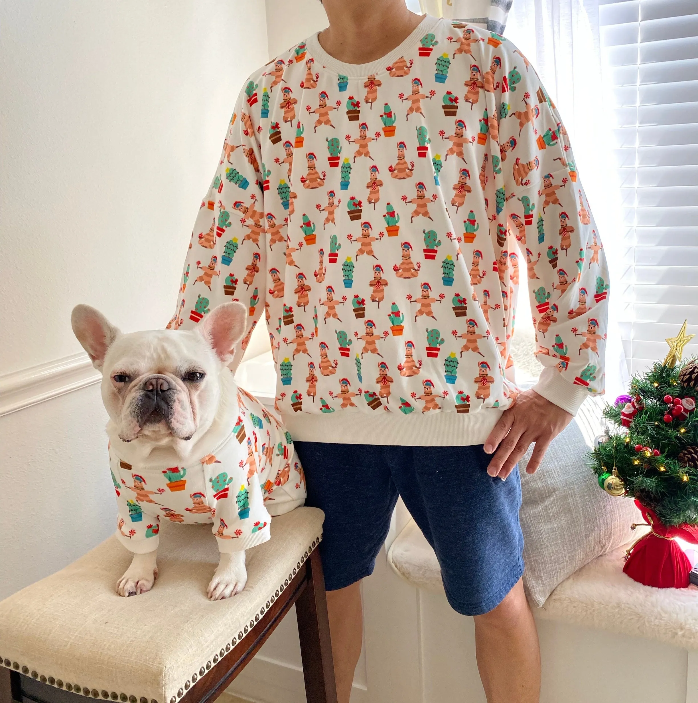 Christmas Yoga Llama Alpaca Owner and Pet Family Matching Set