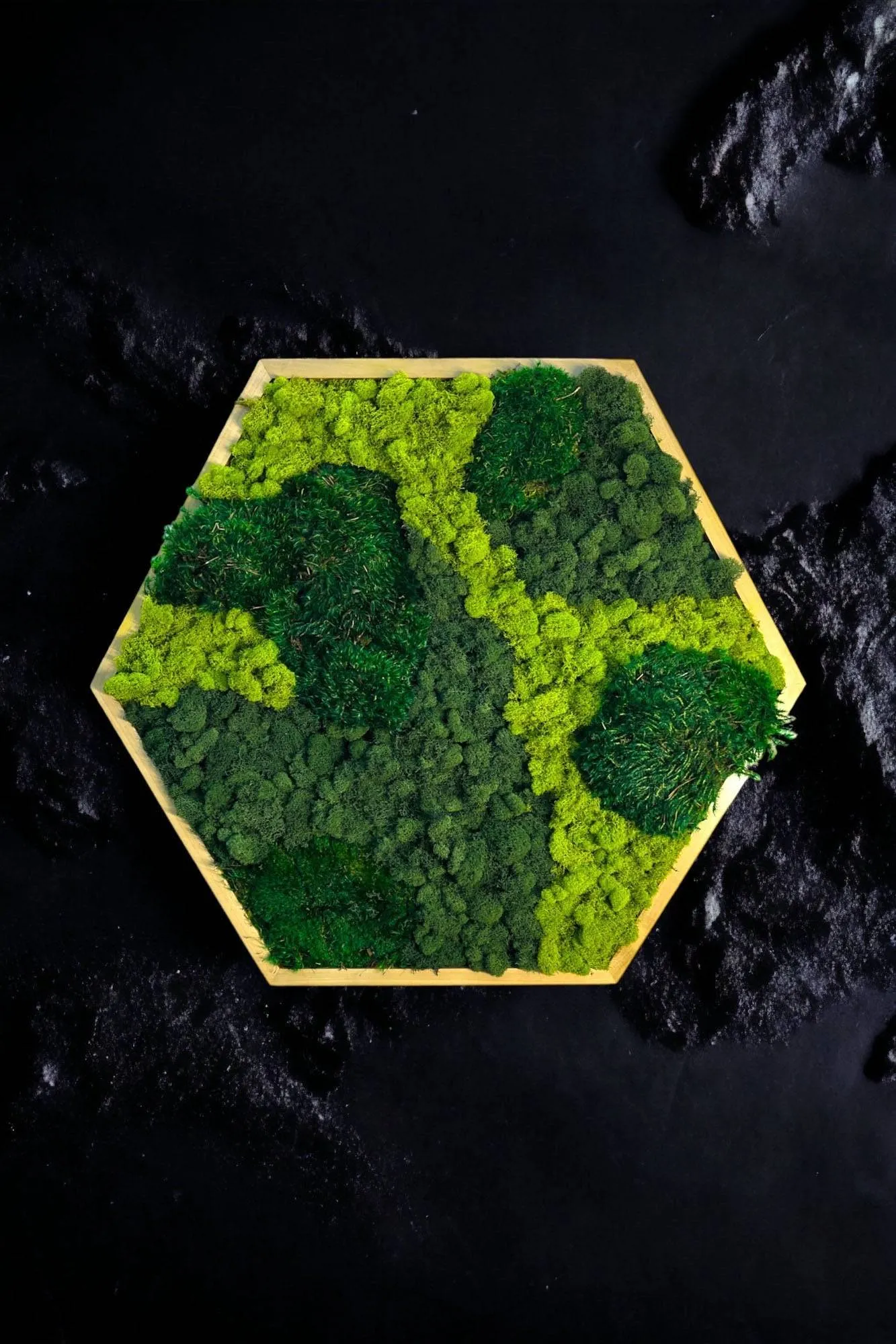 Cushion Moss Hexagon Wall Art