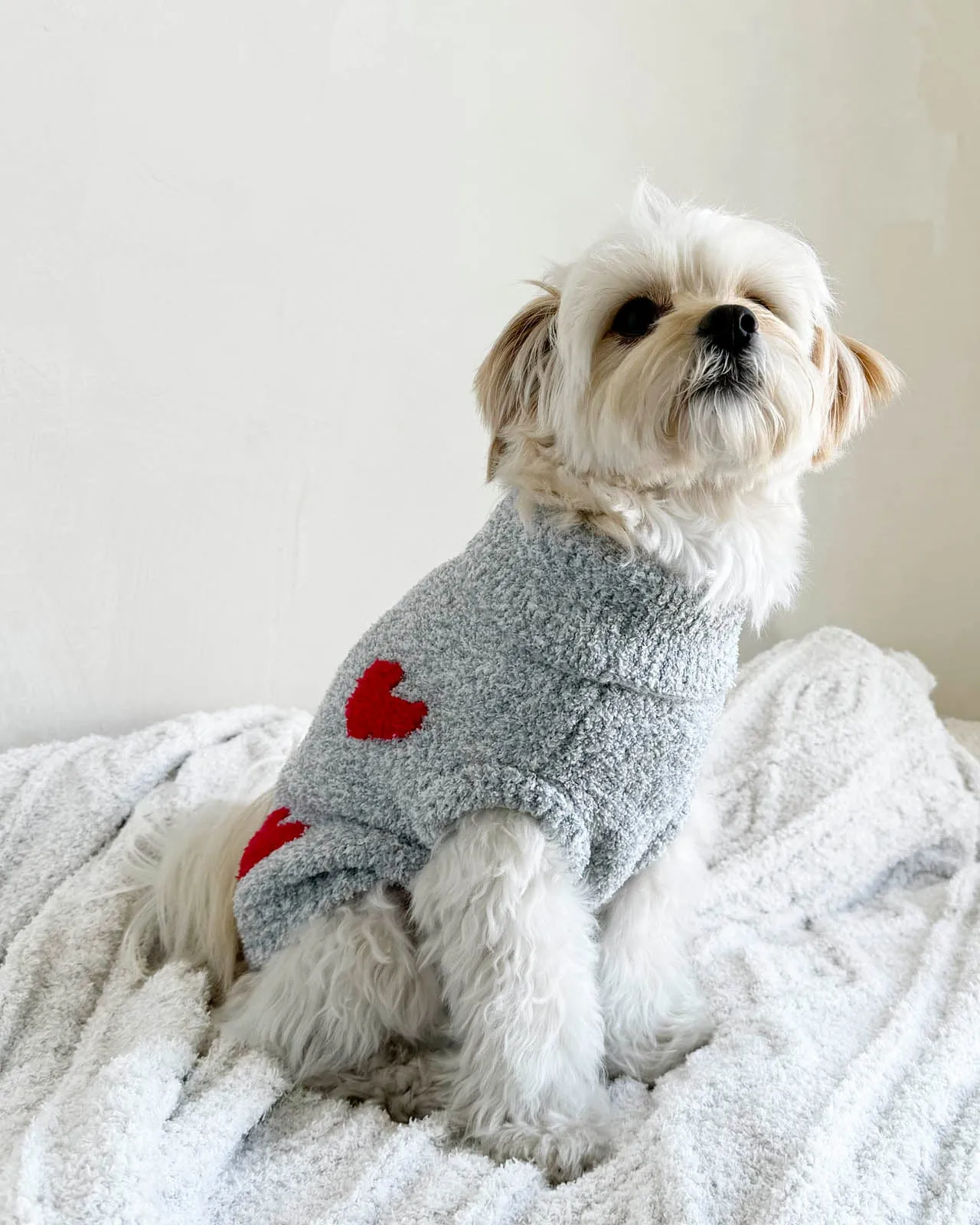 Red Hearts Fuzzy Pet Sweater