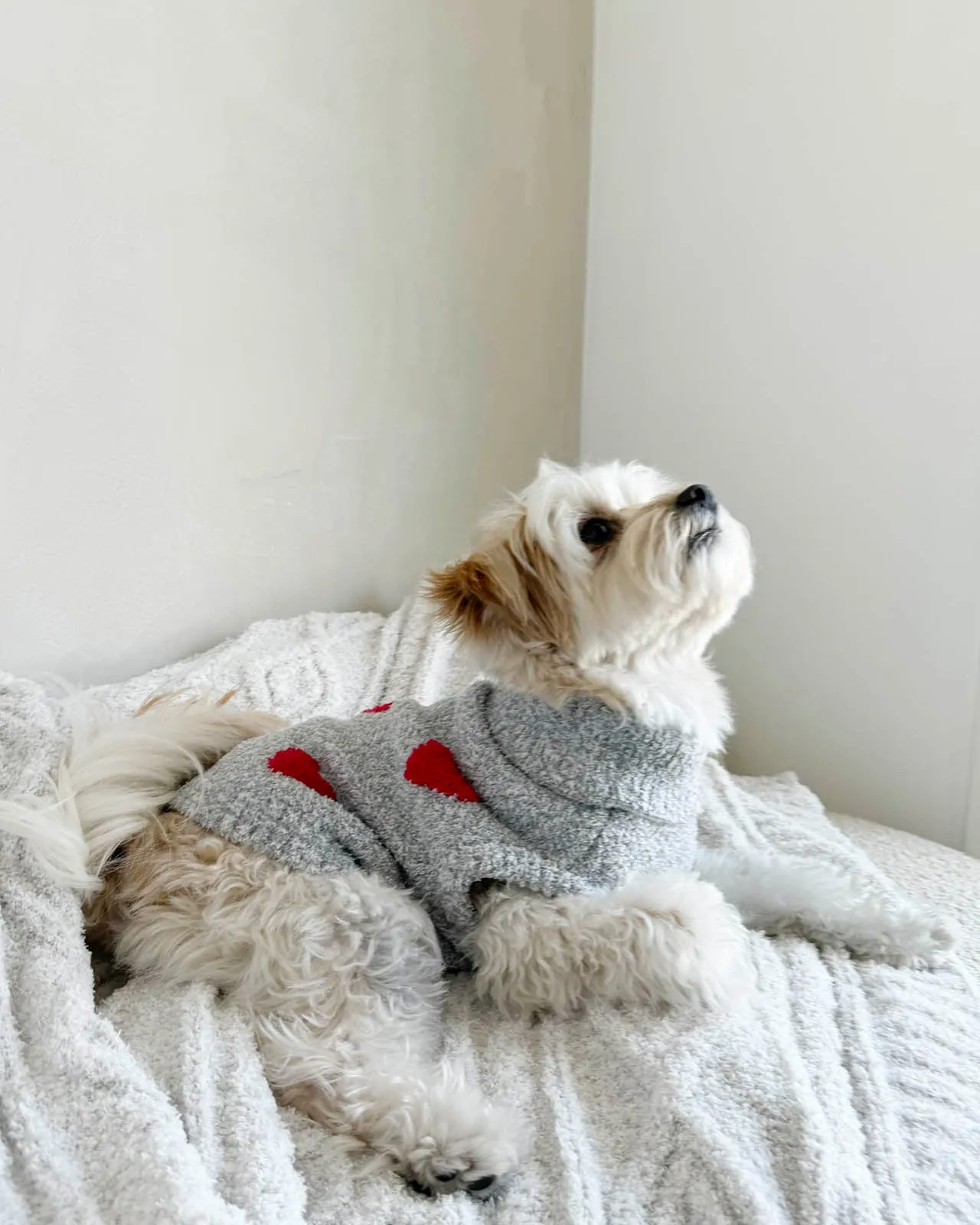 Red Hearts Fuzzy Pet Sweater