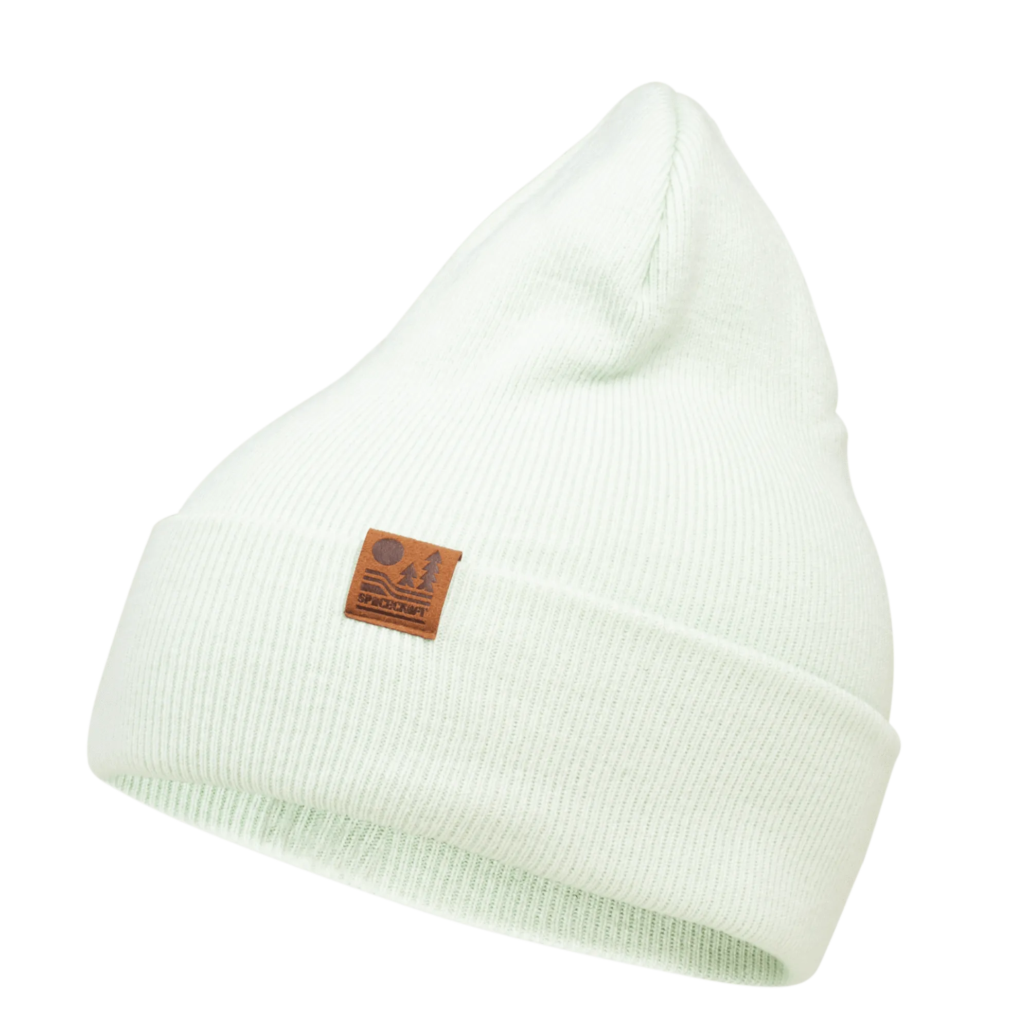 Spacecraft Otis Beanie - Forest