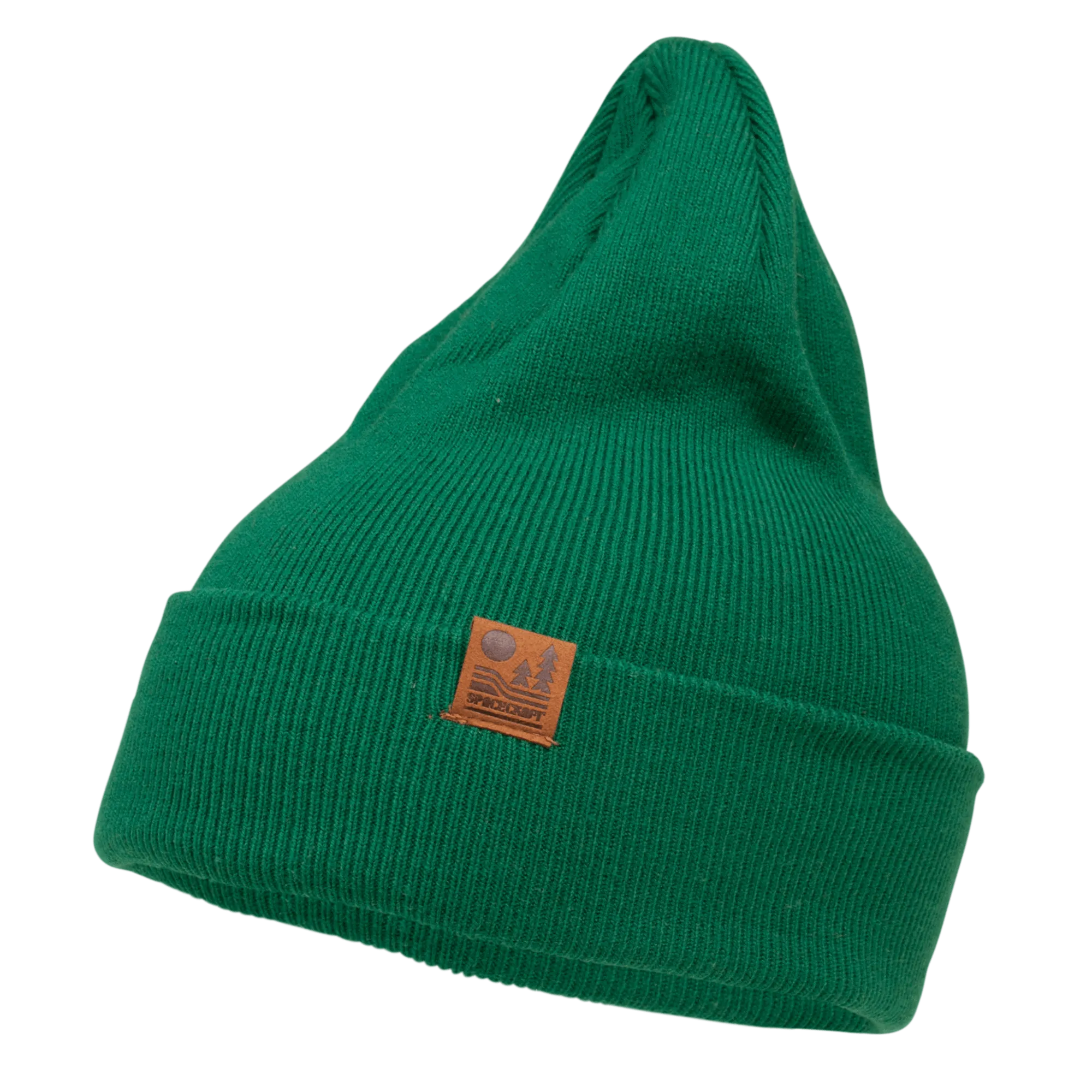 Spacecraft Otis Beanie - Forest